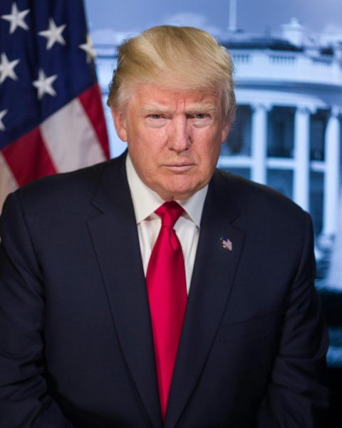 Portrait of President-elect Donald Trump. Digital photograph, 2016. Library of Congress