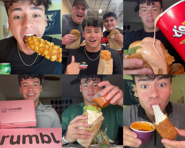 A collage of screenshots from Dylan McArthur's TikTok page.