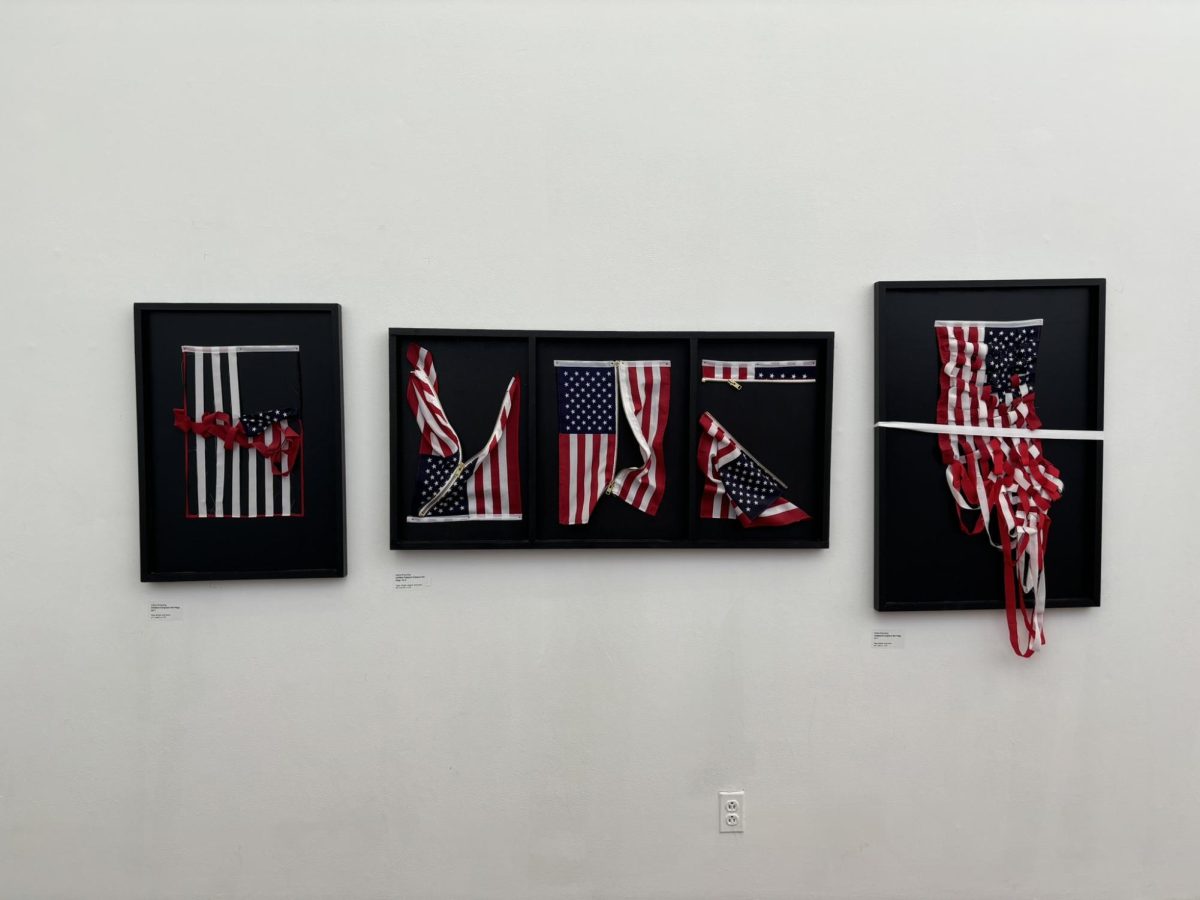 Art series by Aurora Molina entitled "Woven Destiny," using recycled t-shirt fabric and yarn.