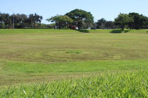 Photo of the empty field where new dorms are set to be constructed.