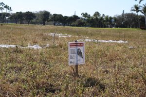 A “Protected Bird Site” sign from the FWC as the state of Florida issued a permit last year allowing the university to “harass” the owls from their on-campus habitat. Harassing is intentionally chasing away an animal from their natural habitat. 