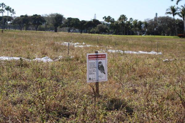 A “Protected Bird Site” sign from the FWC as the state of Florida issued a permit last year allowing the university to “harass” the owls from their on-campus habitat. Harassing is intentionally chasing away an animal from their natural habitat. 