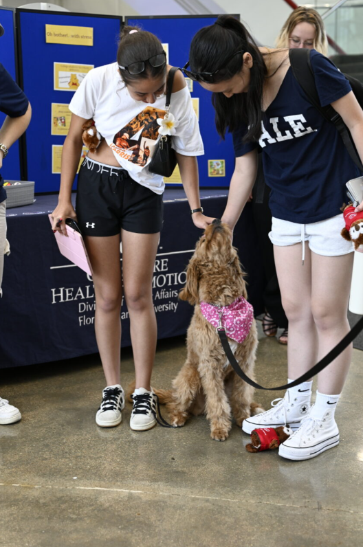 FAU High School students interacting with K9 Nala at this year's Wimberly PAWS event on April 24.